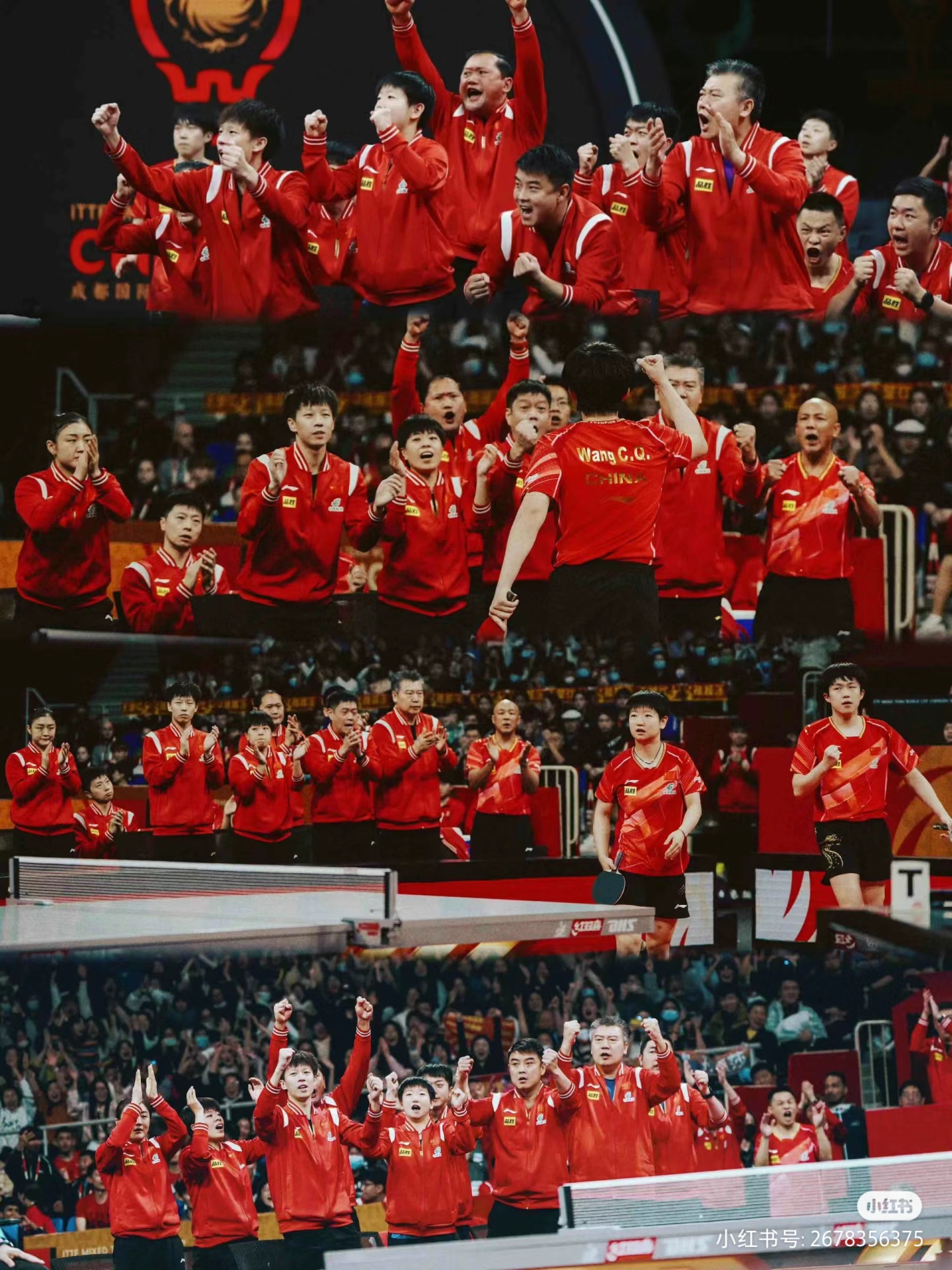 新帅上任，球队全员士气高涨备战冠军