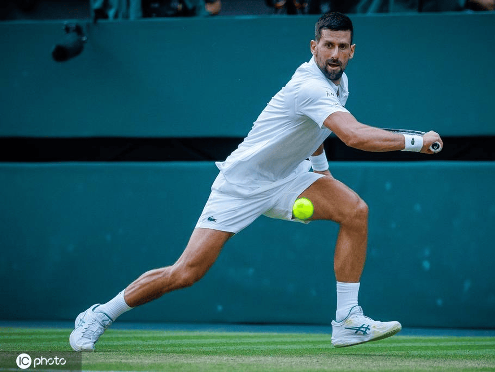 澳网险胜温网，德约科维奇扛起全队